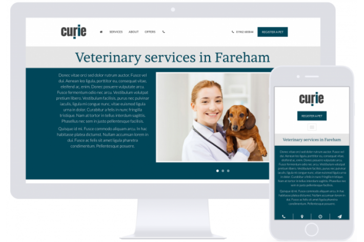 Website design Hampshire - Curie