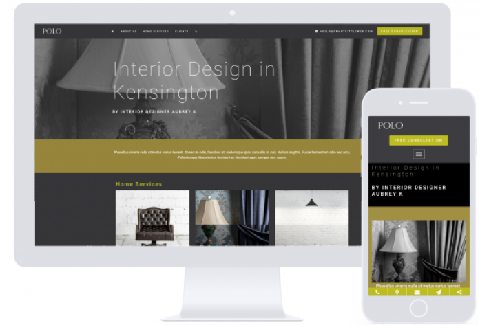 Website design Hampshire - Polo
